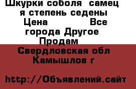 Шкурки соболя (самец) 1-я степень седены › Цена ­ 12 000 - Все города Другое » Продам   . Свердловская обл.,Камышлов г.